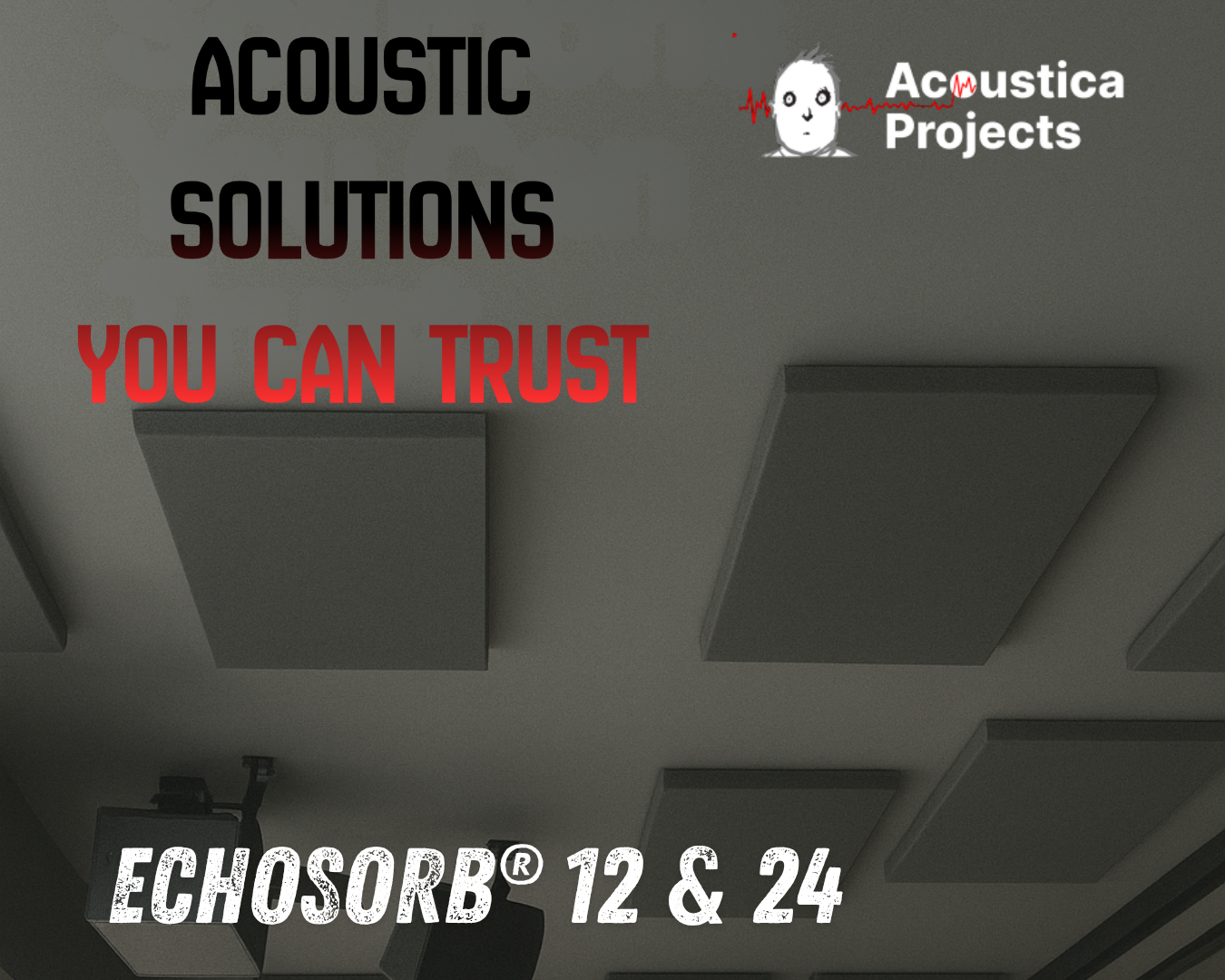 Echosorb® 12 24 1350 x 1080